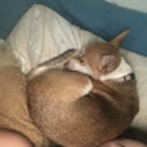 Meet your Posher, Sallie